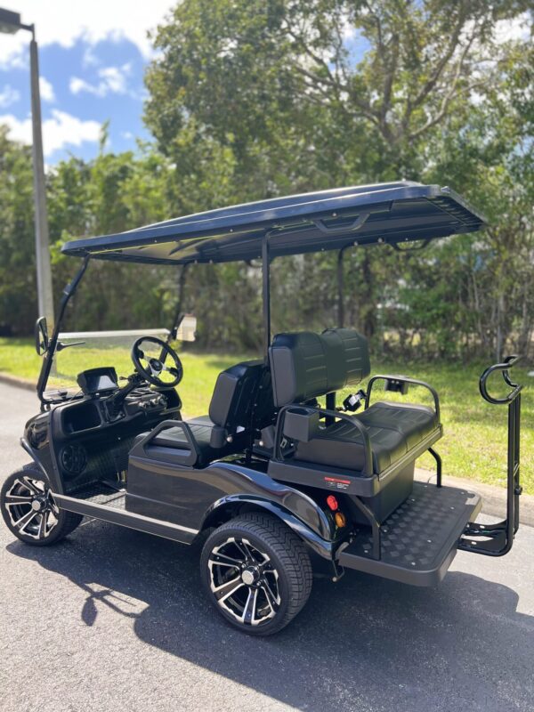 2025 Evolution Classic 4 Plus For Sale - Image 6