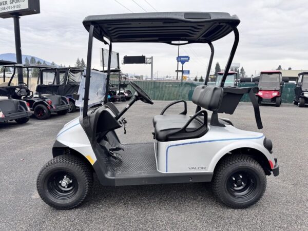 2024 E-Z-GO Freedom RXV For Sale - Image 2