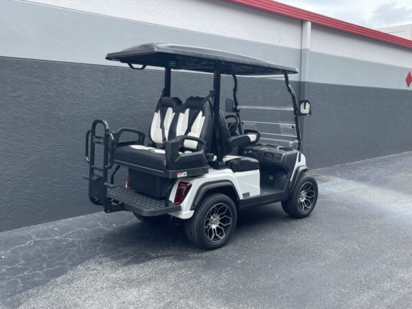 2025 Evolution D5 Ranger 2+2 For Sale - Image 3